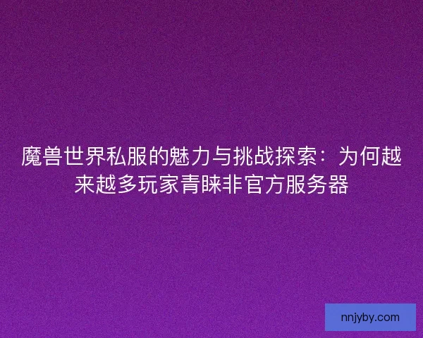 魔兽世界私服的魅力与挑战探索：为何越来越多玩家青睐非官方服务器